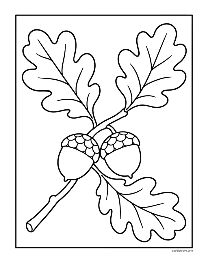 Oak Leaves and Acorns coloring page: two oak leaves and two acorns on a stem.