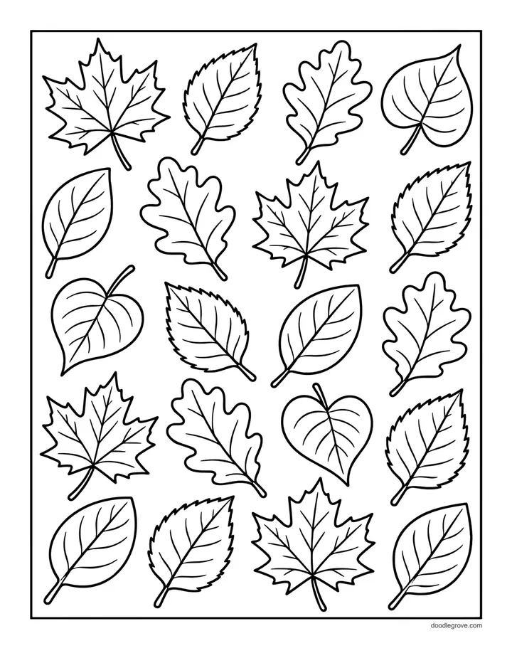 Page Full of Leaves coloring page: more than twenty leaves of different shapes filling the page