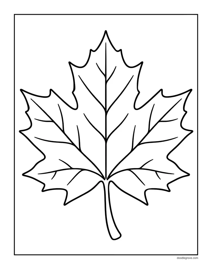 Big Maple Leaf coloring page: one large simple maple leaf that fills the page