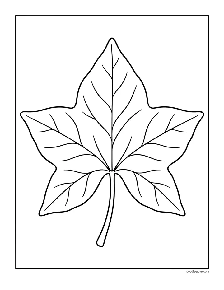 Ivy Leaf coloring page: a single five-lobed ivy leaf with veins on a stem.