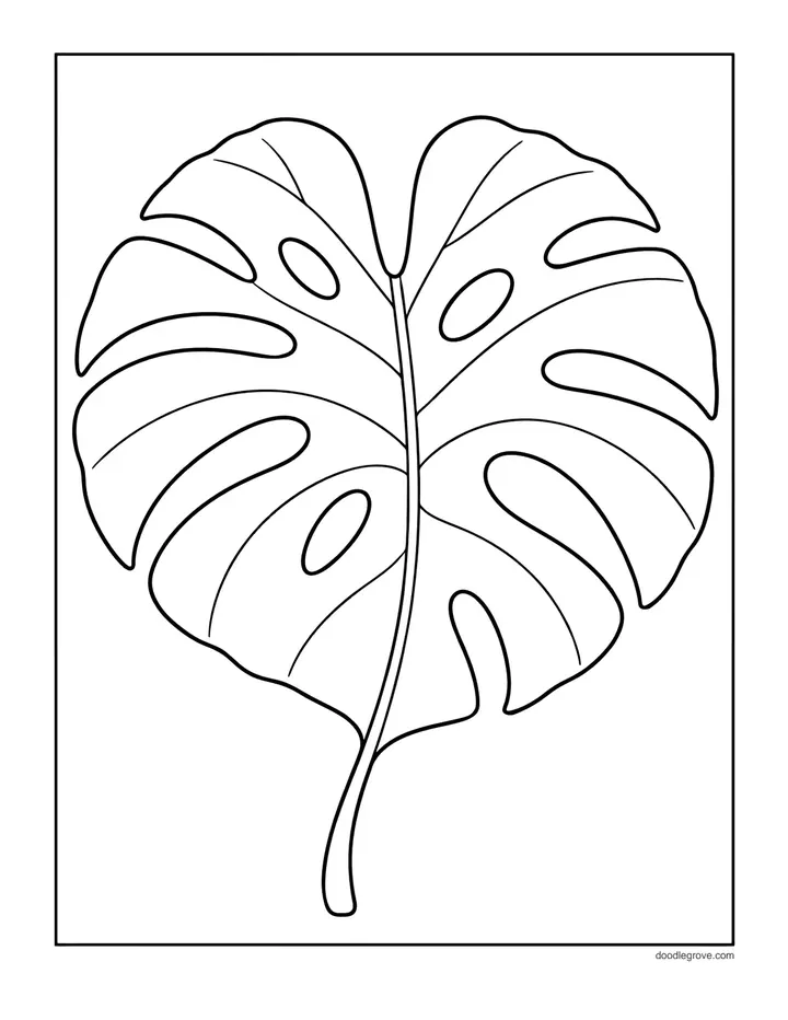 Monstera Leaf coloring page: a big monstera leaf with split edges and oval holes and a central vein.