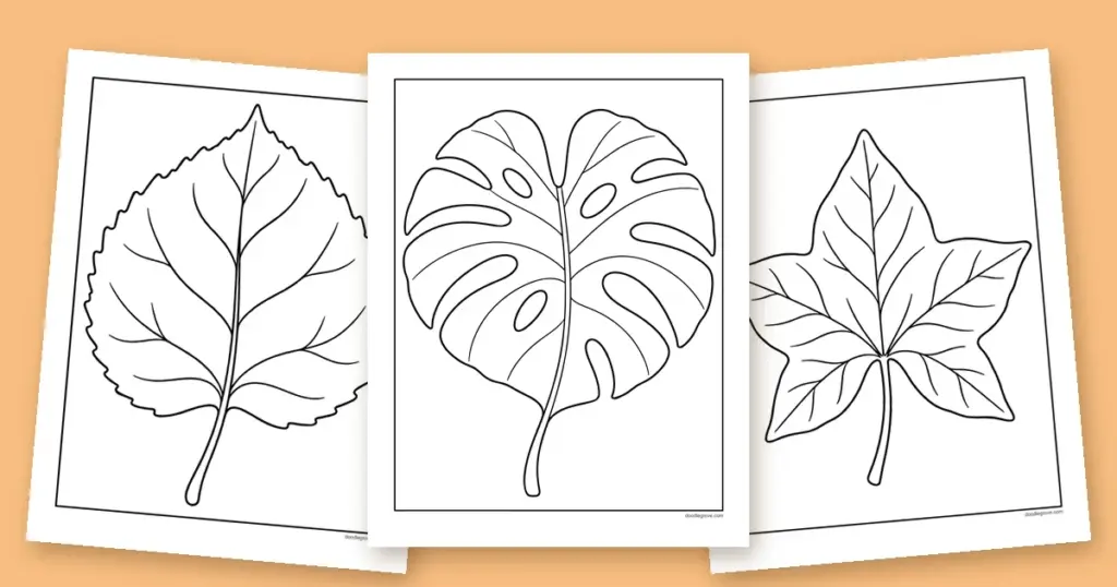 Three fall leaf coloring pages fanned out: a split monstera leaf, a big round leaf and a five-lobed ivy leaf.