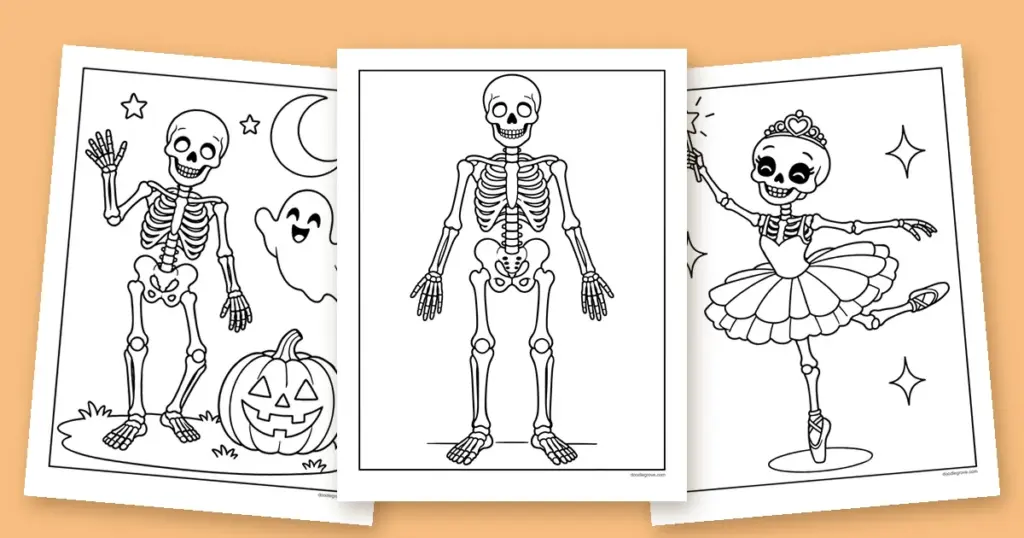 Three skeleton coloring pages fanned out: a standing skeleton, a waving skeleton with a ghost and a pumpkin, and a ballerina skeleton.