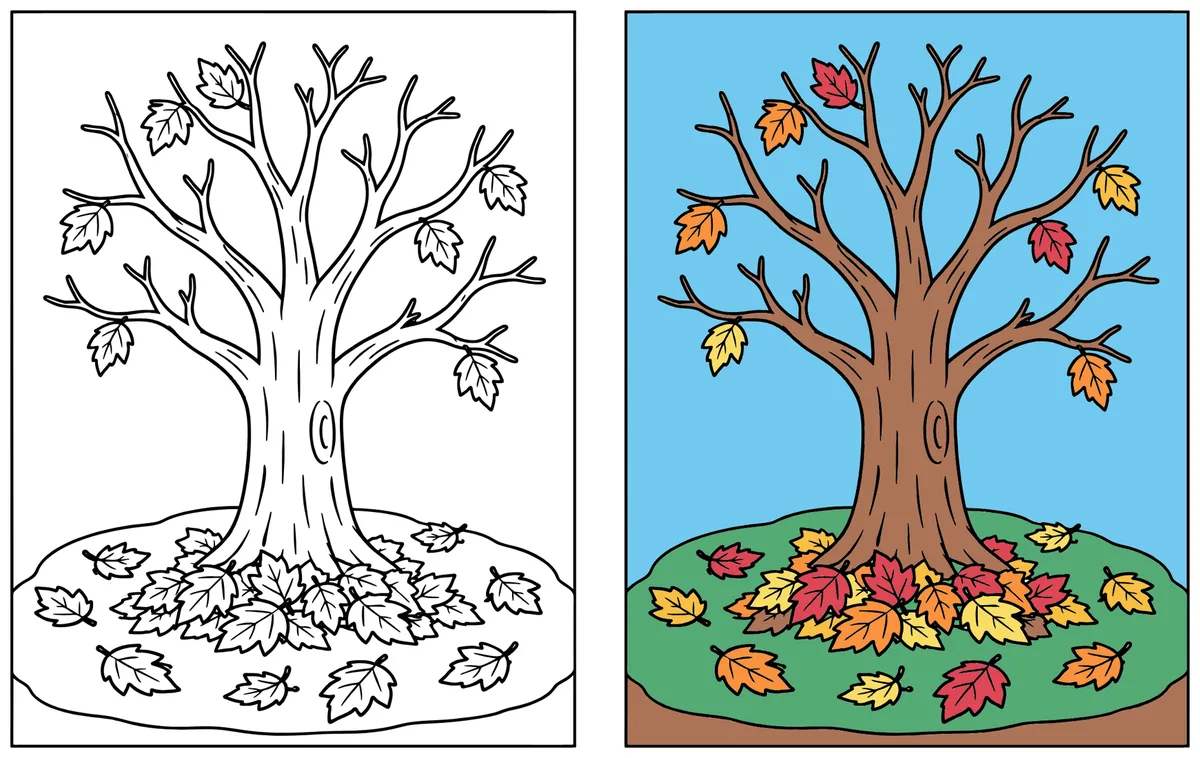 Autumn Tree coloring page: the blank line art next to a colored version