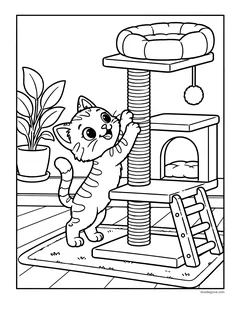 A tabby kitten stretching up a scratching post on a cat tree with a bed on top and a hanging toy