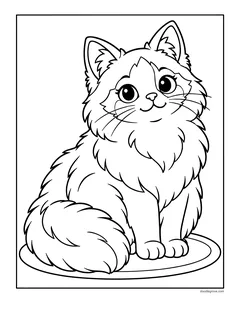A fluffy long-haired cat with a darker face mask sitting on a round mat