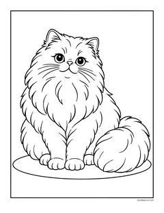 A fluffy Persian cat with a flat face and a big bushy tail sitting on a mat