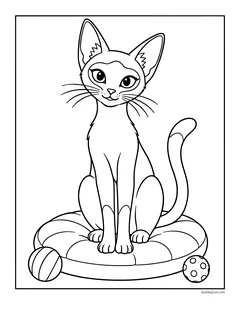 A slim Siamese cat with big ears sitting on a cushion between two toy balls