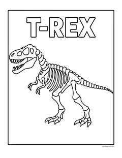 A Tyrannosaurus rex skeleton under the word T-Rex