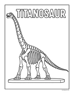 A long-necked titanosaur skeleton on a museum stand under the word Titanosaur