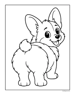 A corgi seen from behind with its fluffy bottom and tail, looking back over its shoulder with a big smile