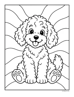 A curly-haired doodle puppy sitting in front of a sunburst background