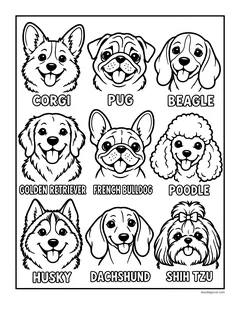 Nine labeled dog faces: corgi, pug, beagle, golden retriever, French bulldog, poodle, husky, dachshund and Shih Tzu