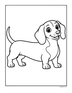 A long dachshund standing and smiling