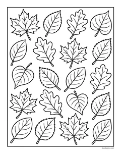 A page filled with rows of maple, oak, birch and other leaves