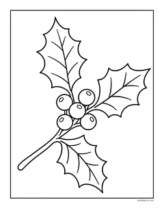 A sprig of holly with pointed leaves and a cluster of round berries