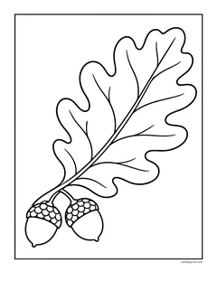 A single large oak leaf with two acorns at the stem