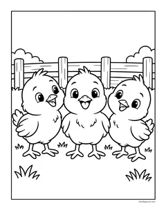 Three fluffy chicks standing in the grass by a wooden fence