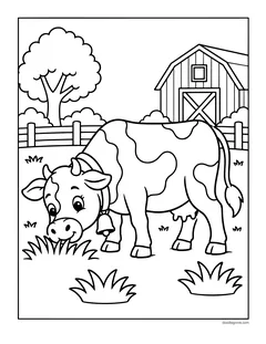 A cow with a bell eating grass in front of a barn and a fence