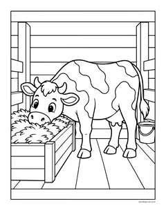 A cow eating hay from a wooden trough in the barn, next to a milk pail