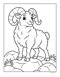 A woolly ram with big curled horns standing on a rock