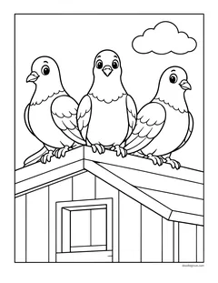 Three pigeons sitting on the roof of a barn
