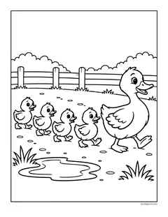 A mother duck leading four ducklings past a puddle by a fence