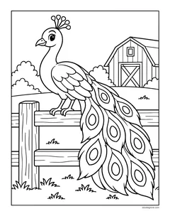 A peacock perched on a fence near a barn, with its long tail feathers hanging down