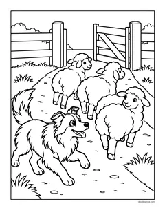 A sheepdog herding three sheep along a path through an open gate