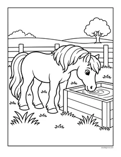 A pony drinking from a water trough by a fence