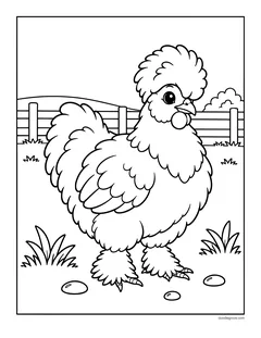 A fluffy silkie chicken with a puffy crest and feathered feet
