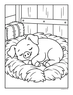 A piglet asleep in a nest of straw in the barn
