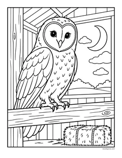 A barn owl perched on a beam inside the barn at night, with a hay bale and the moon outside
