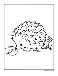 A hedgehog with closed eyes sniffing a leaf on the ground, with a daisy and a tuft of grass