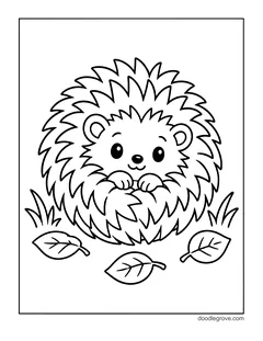 A round, fluffy hedgehog sitting in the grass with its paws on its tummy, with three leaves on the ground