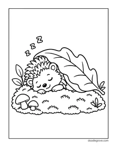 A hedgehog asleep under a big leaf on a mossy mound, with two mushrooms, small plants and three letter Zs