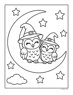 Two smiling owls in witch hats sitting on a crescent moon among stars and a cloud