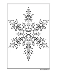 A detailed snowflake with ornate pointed arms and a flower in a hexagon center