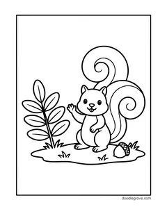 A small squirrel with a curly tail waving from a patch of grass, with a leafy plant and an acorn