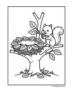 A squirrel on a branch holding a twig beside a big nest of twigs and leaves in the fork of a tree