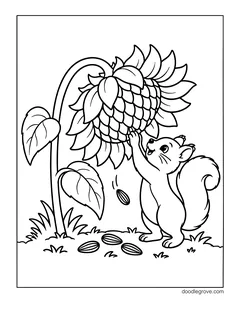 A squirrel standing on its back legs and reaching up to a drooping sunflower, with seeds falling to the ground